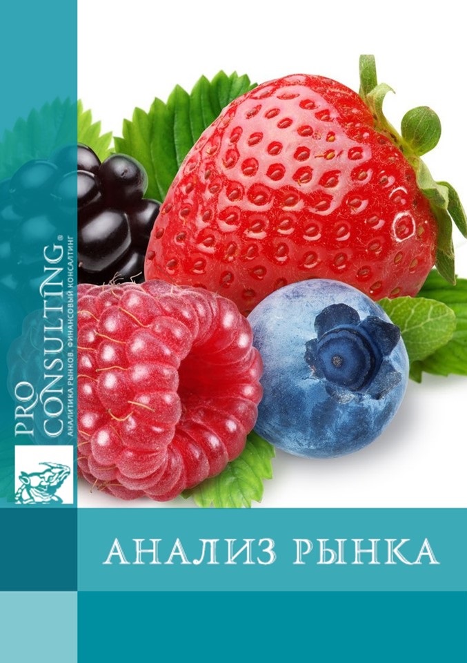 Анализ рынка ягод (клубника, голубика, малина, ежевика) Украины. 2016 год